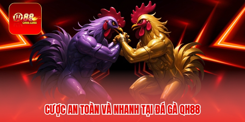 Bí quyết và chiến lược thắng cao tại Đá gà
