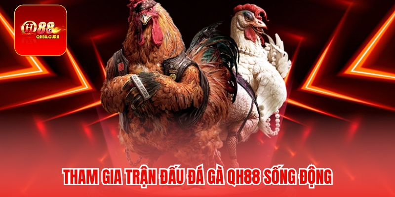 Mẹo và kinh nghiệm chơi Đá gà QH88 thắng cao