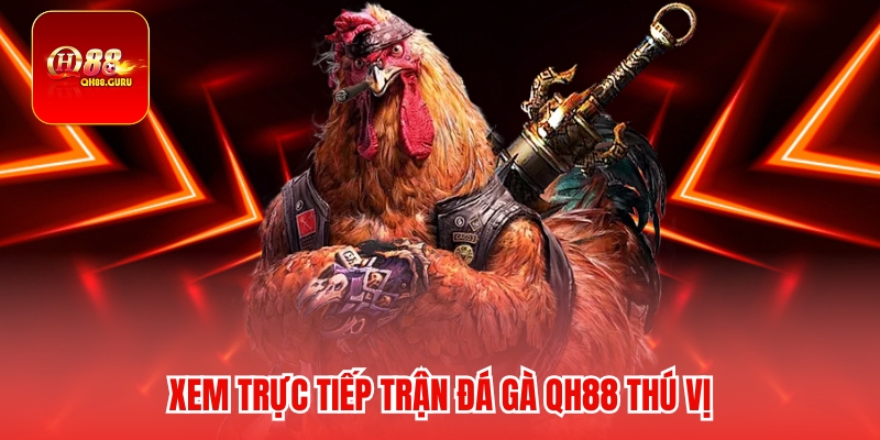 Điểm mạnh hấp dẫn người chơi tại Đá gà QH88